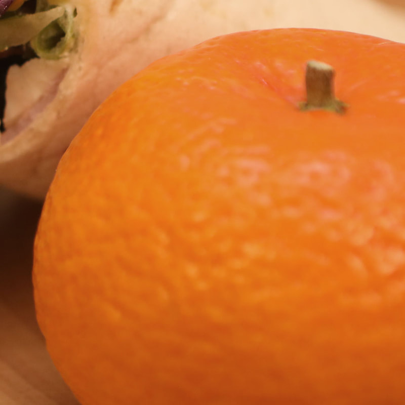 Martinas Homemade Foods orange