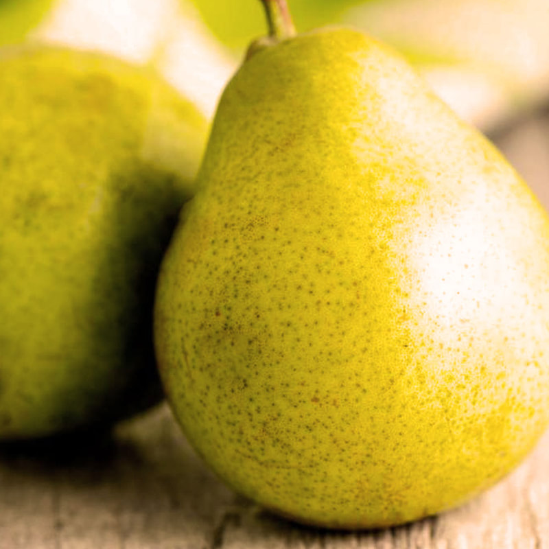 Martinas Homemade Foods pear